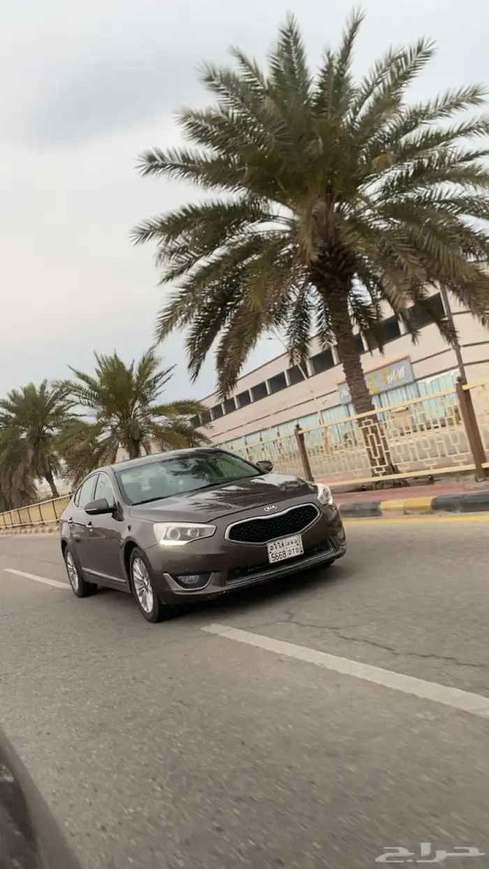 كدينزا 2014 خليجي 5