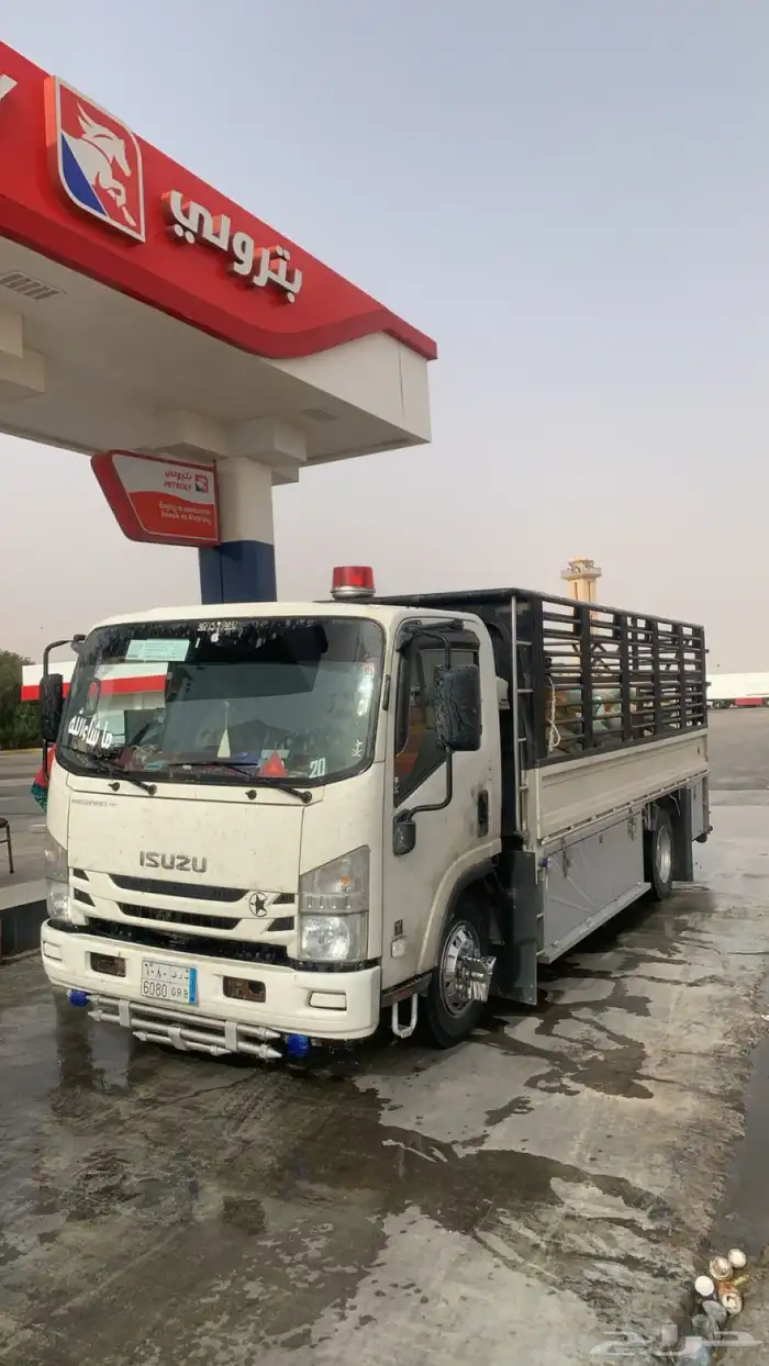 دينا 5متر داخل وخارج رفحاء 1