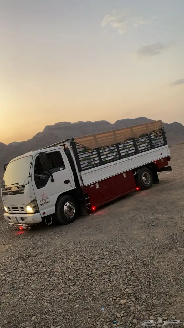 دينه ايجار داخل وخارج المدينه 1