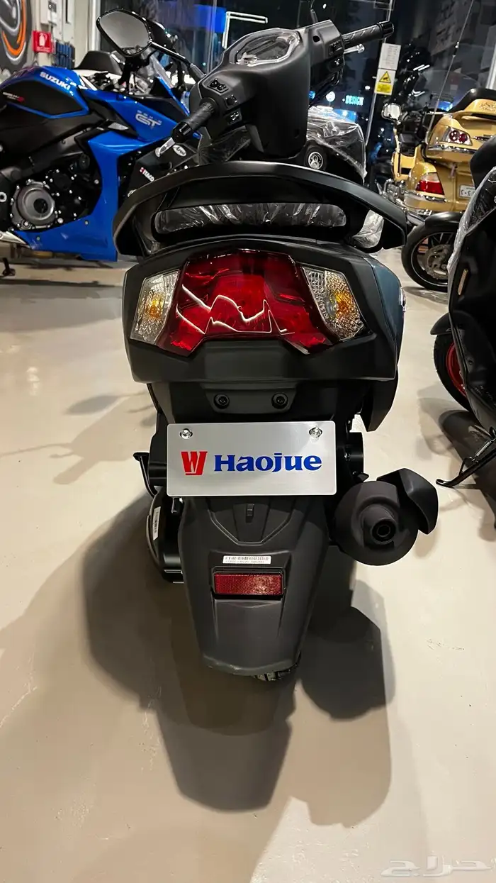 عجيب هاوجي 2025 للبيع 5