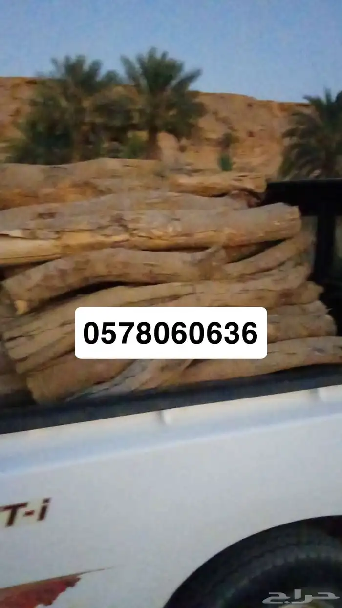 حطب مستورد 2