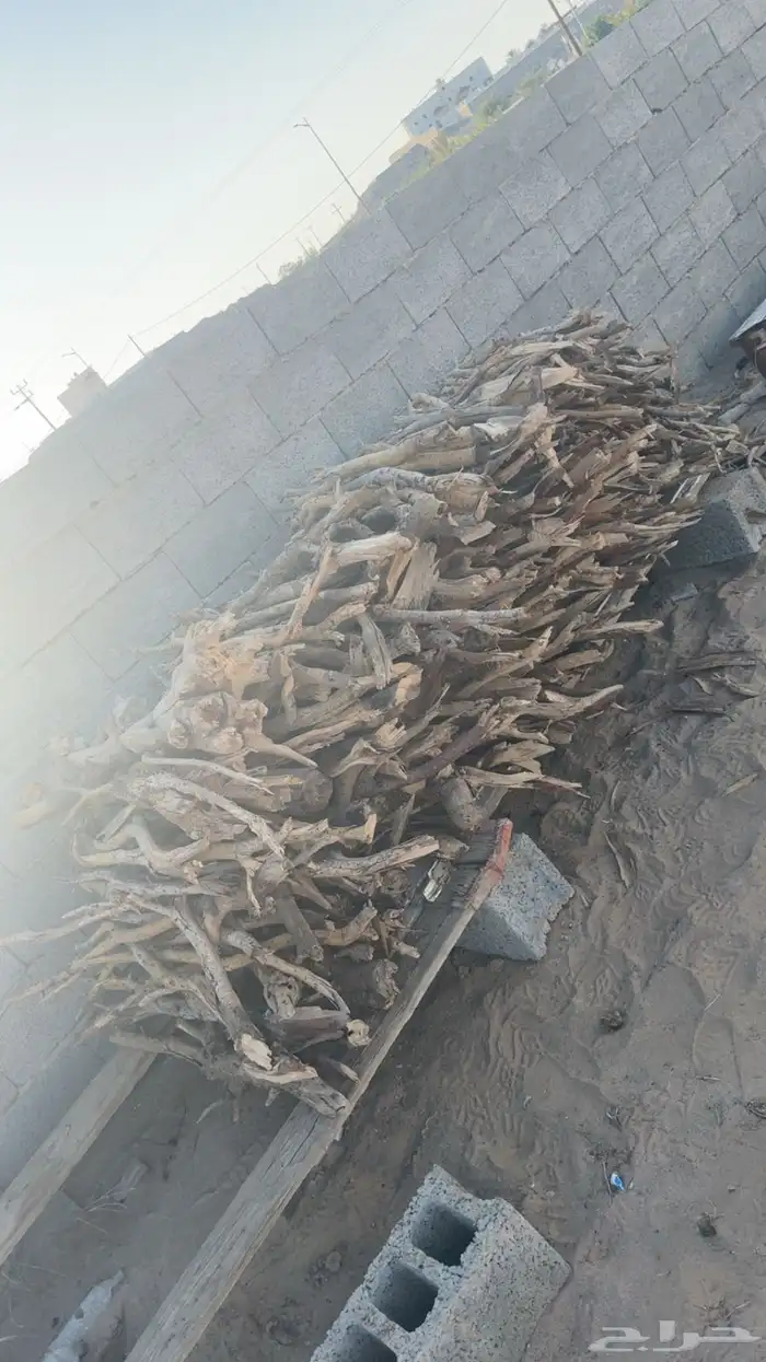 خشب للبيع 2
