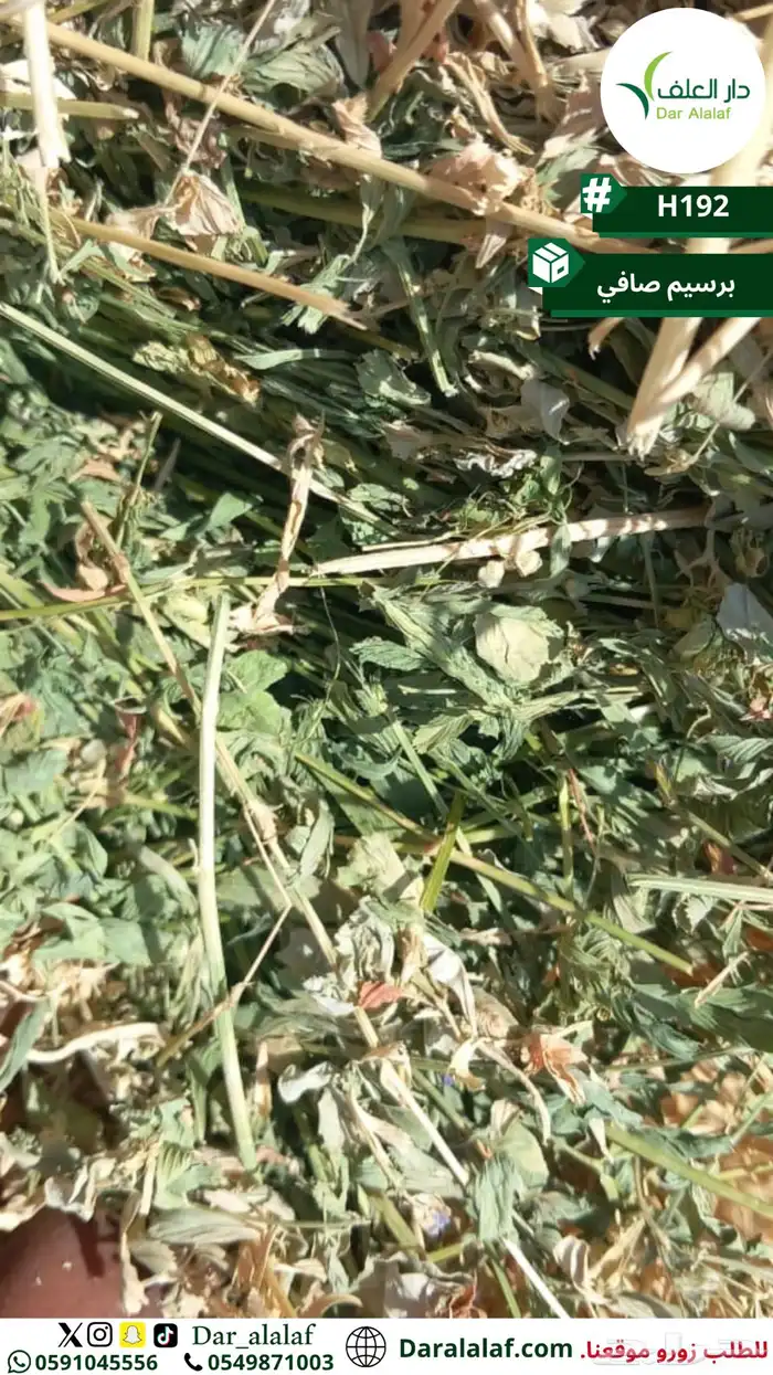 برسيم صافي 2