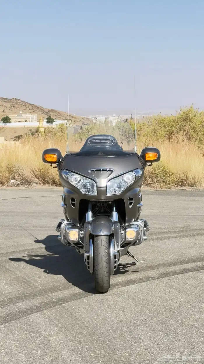 قولد وينق لفل فور موديل (2008) 3