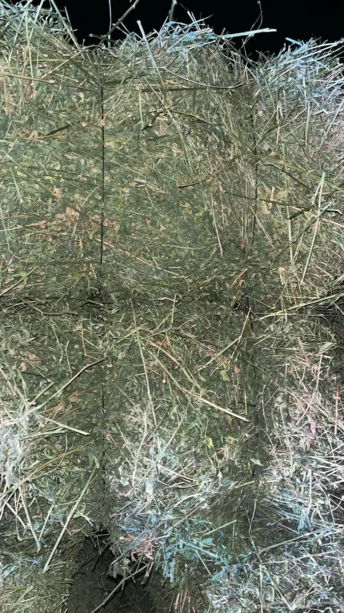 برسيم شد كلاس 3