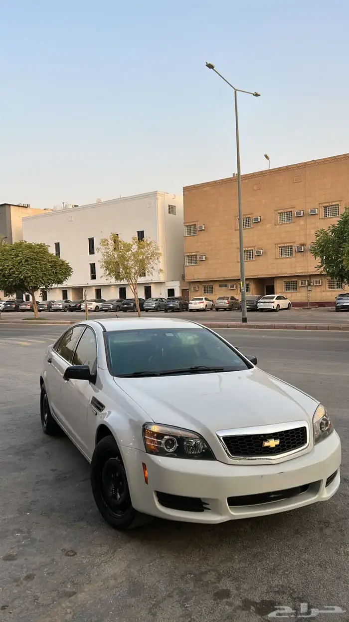 كابرس 2014 حكومي وارد امريكا لوح خلجيه 12