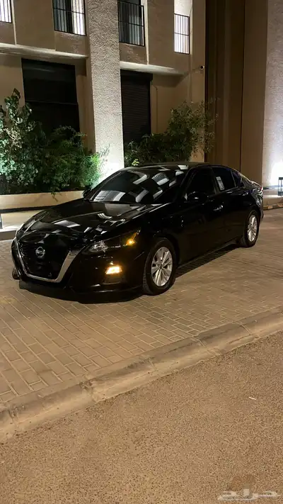 التيما 2022 index