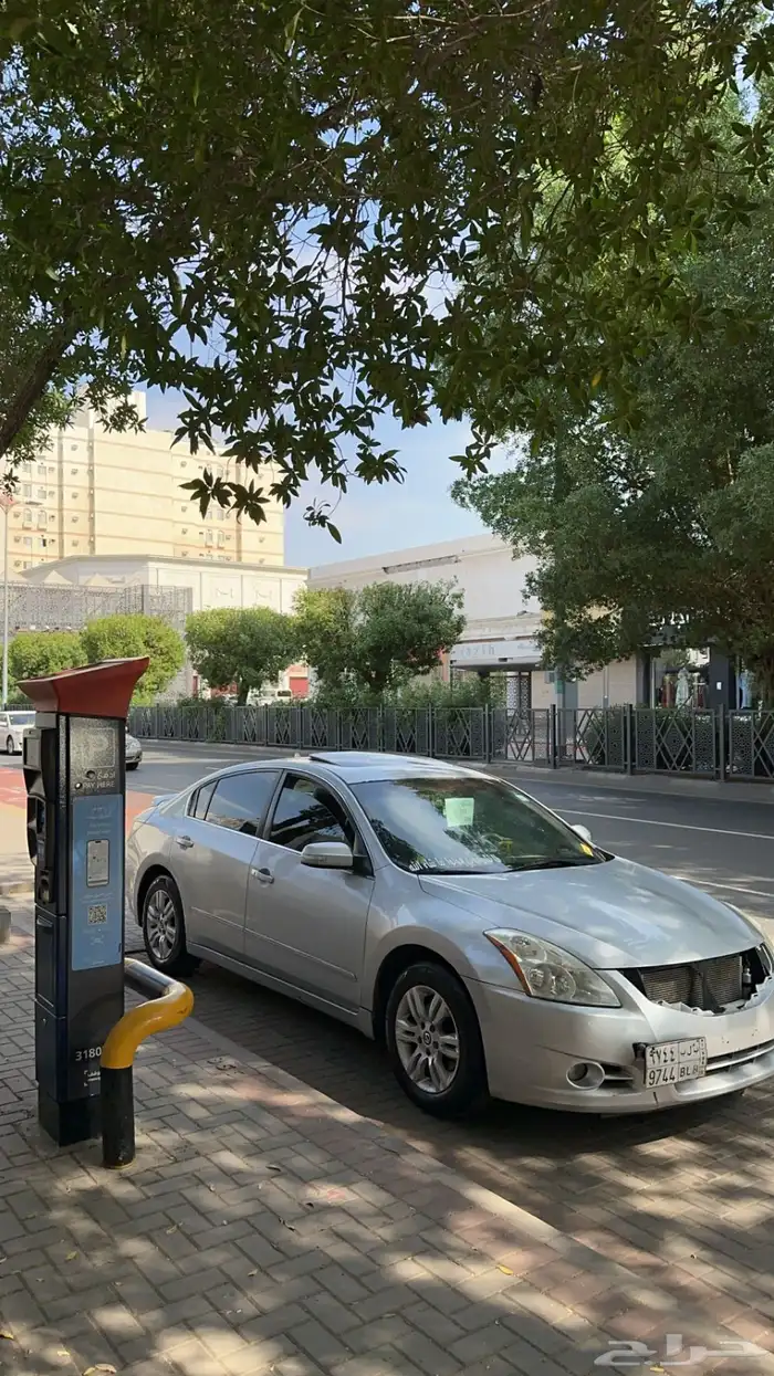 التيما فل الفل 2011 36