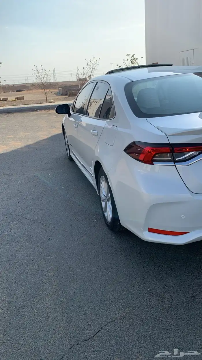 كورلا 2020 ( تم البيع ) 6