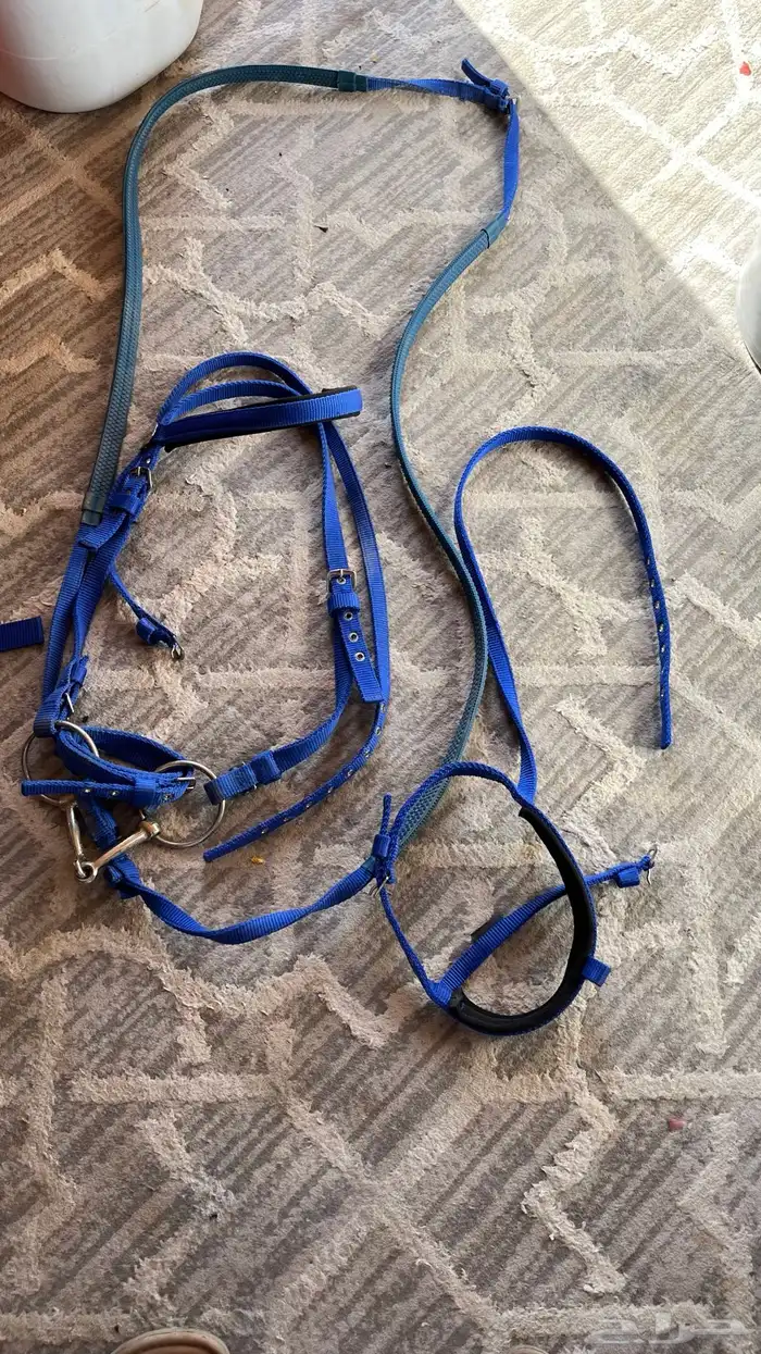 عرض طقم سرج هندي كامل 0