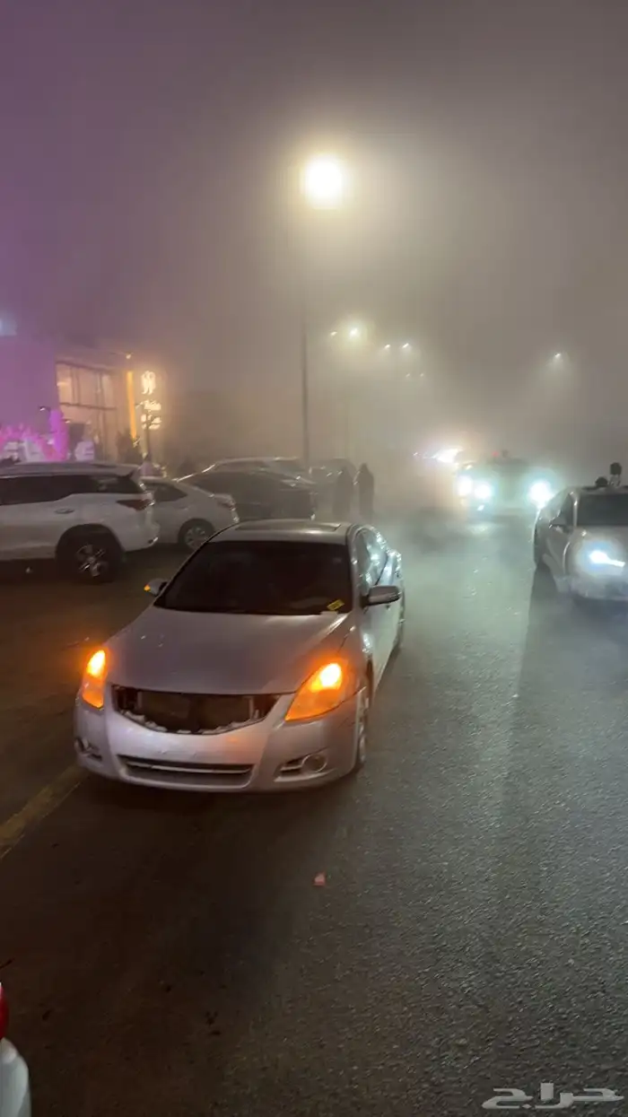 التيما فل الفل 2011 32