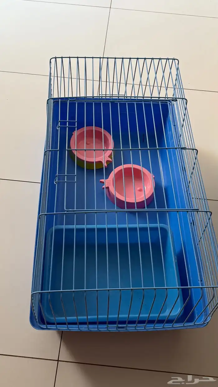 مستلزمات قطط 4