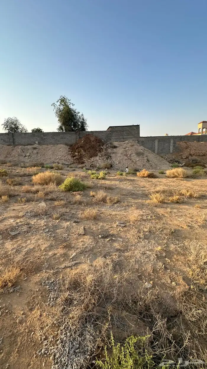 ارض للبيع بحي الشقة بمخطط المنصورة بحد ( 120 الف ) 0