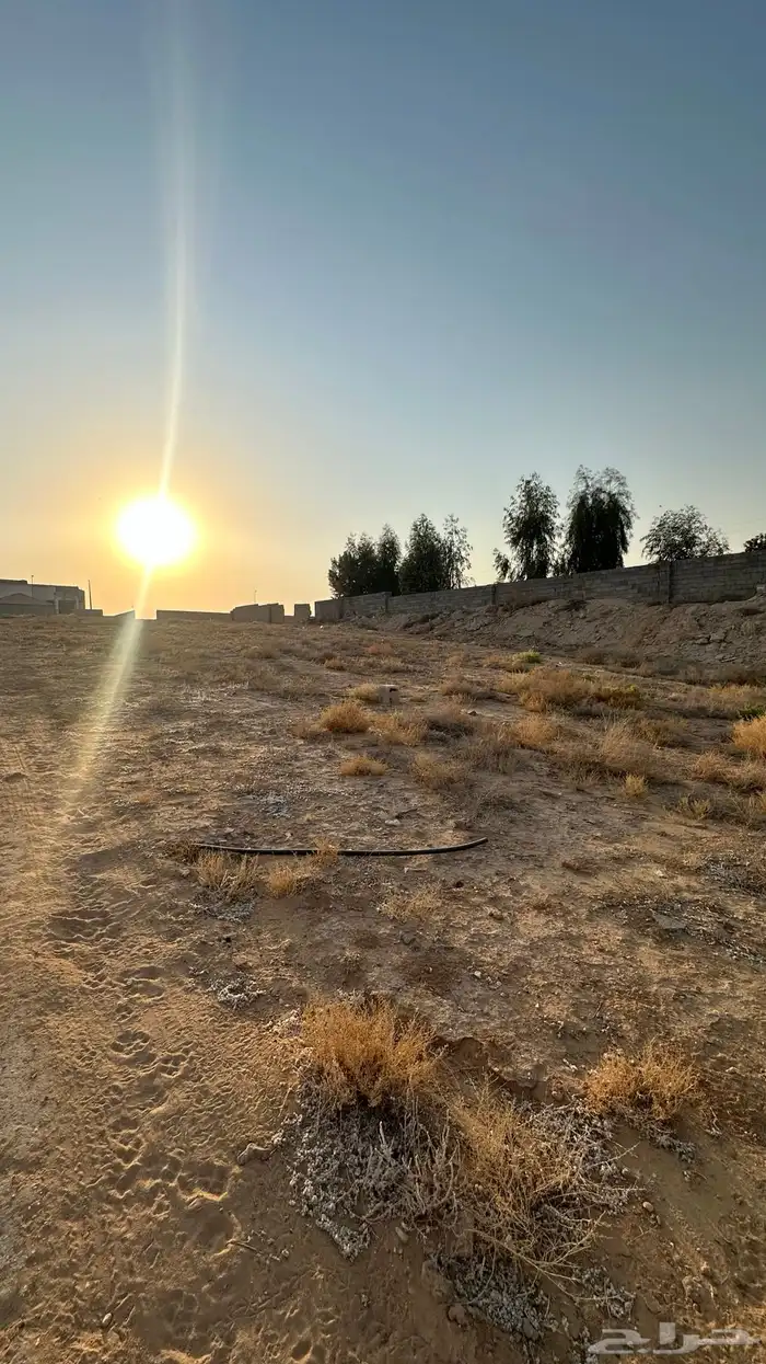 ارض للبيع بحي الشقة بمخطط المنصورة بحد ( 120 الف ) 1