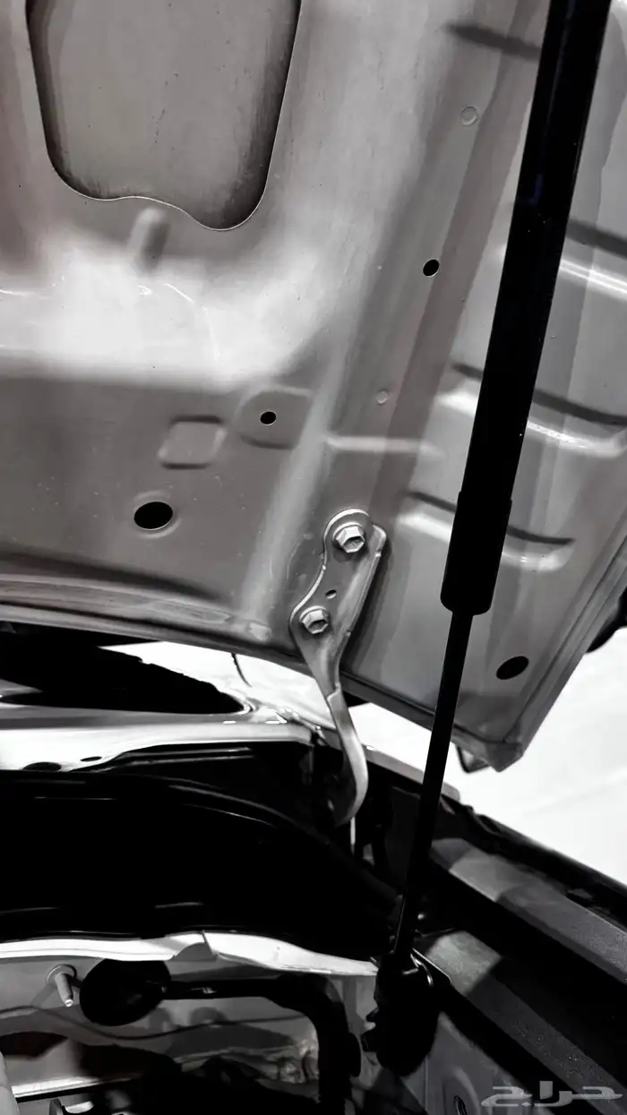 افجي 2022 وكالة شرط 18