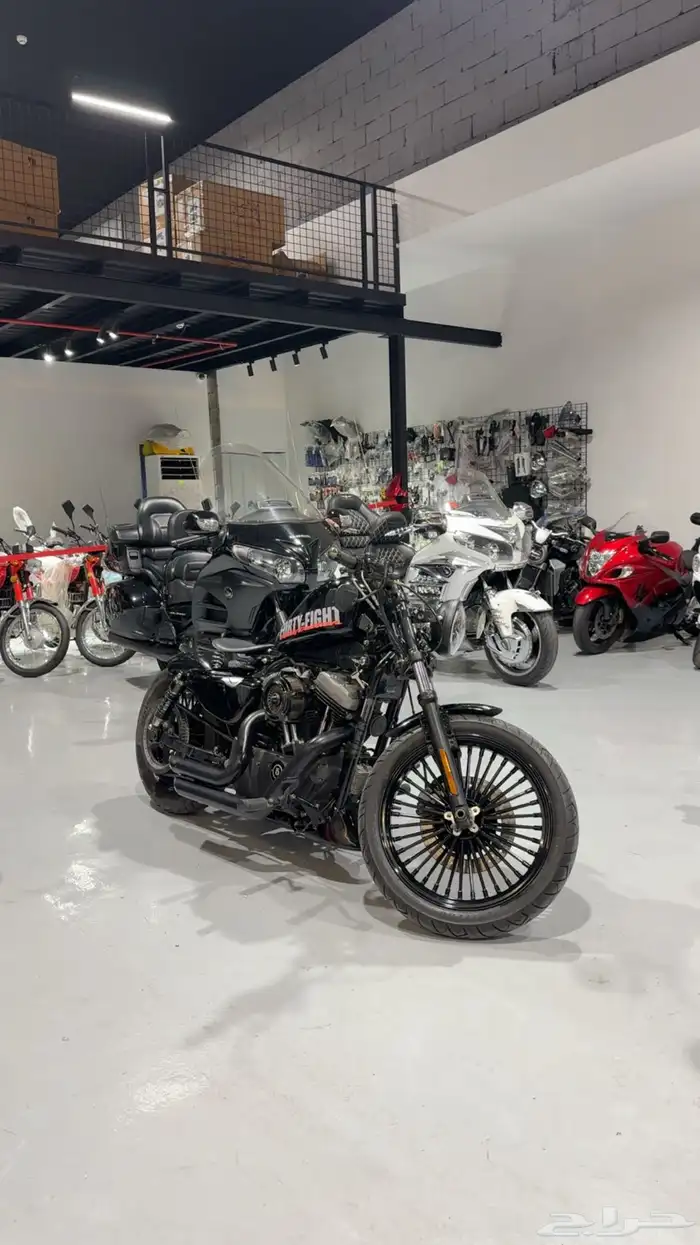 للبيع دباب هارلي سبوستر 1200 سي سي موديل 2010 3