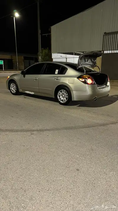 التيما على السوم مكينه مخبطه عليها رشوش متفرقه ممشى 579الف index