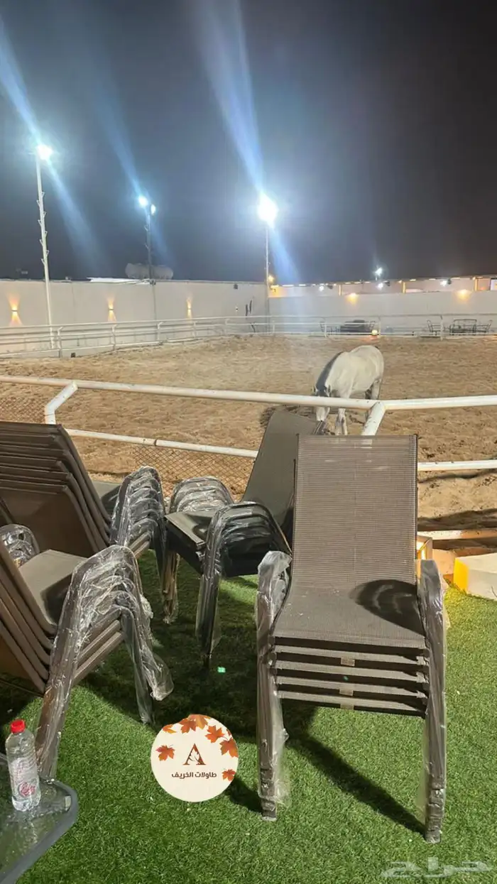 كرسي الحديقة الاصلي 0