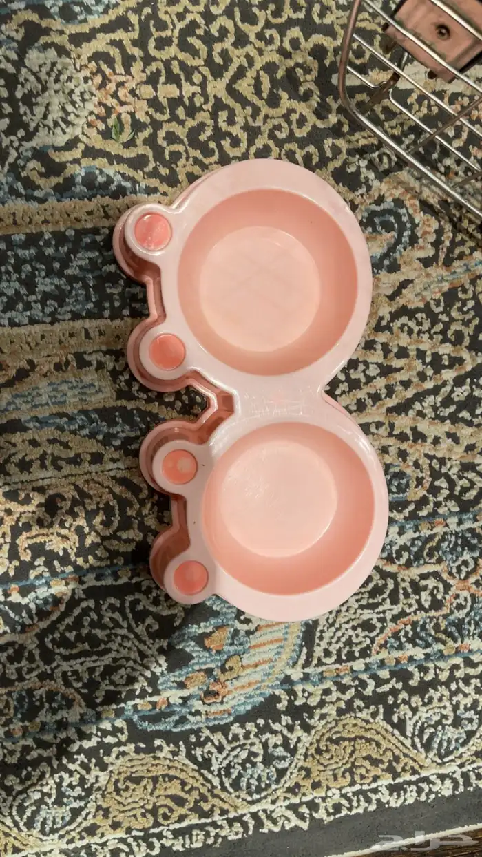 اغراض قطط ب50 ريال بس 0