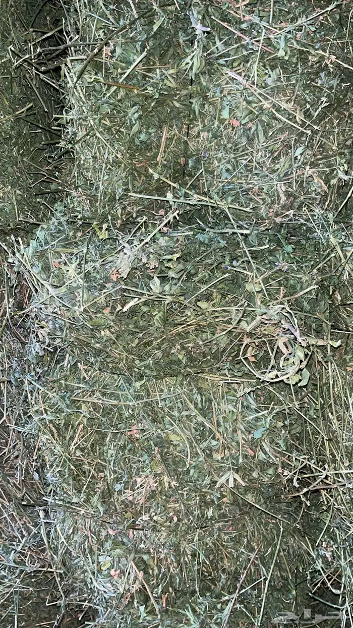 برسيم شد كلاس 4