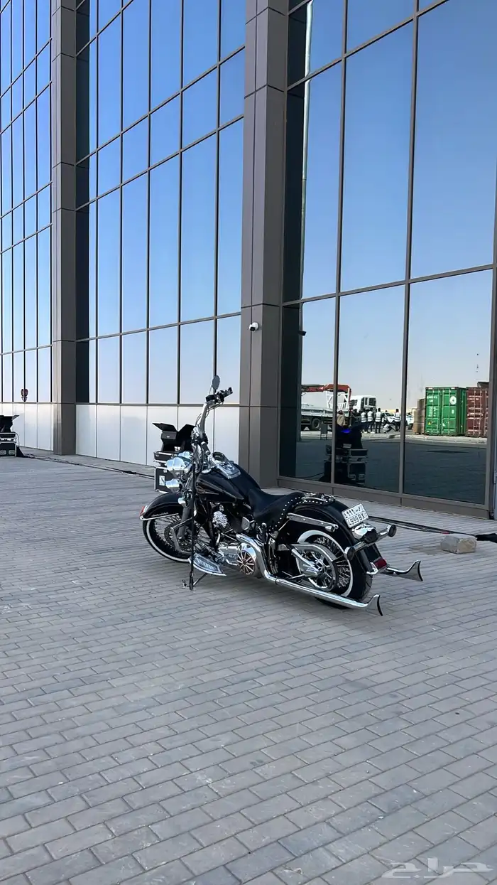 هارلي هيرتج 2006 1