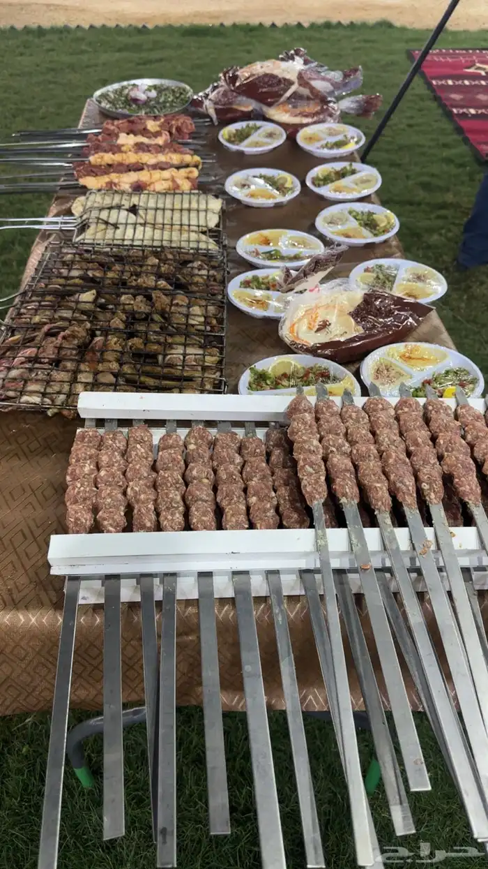 معلم شوي في الدوادمي 49