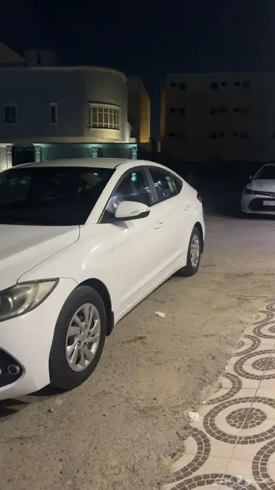 النترا وكاله قمه فالنظافه index