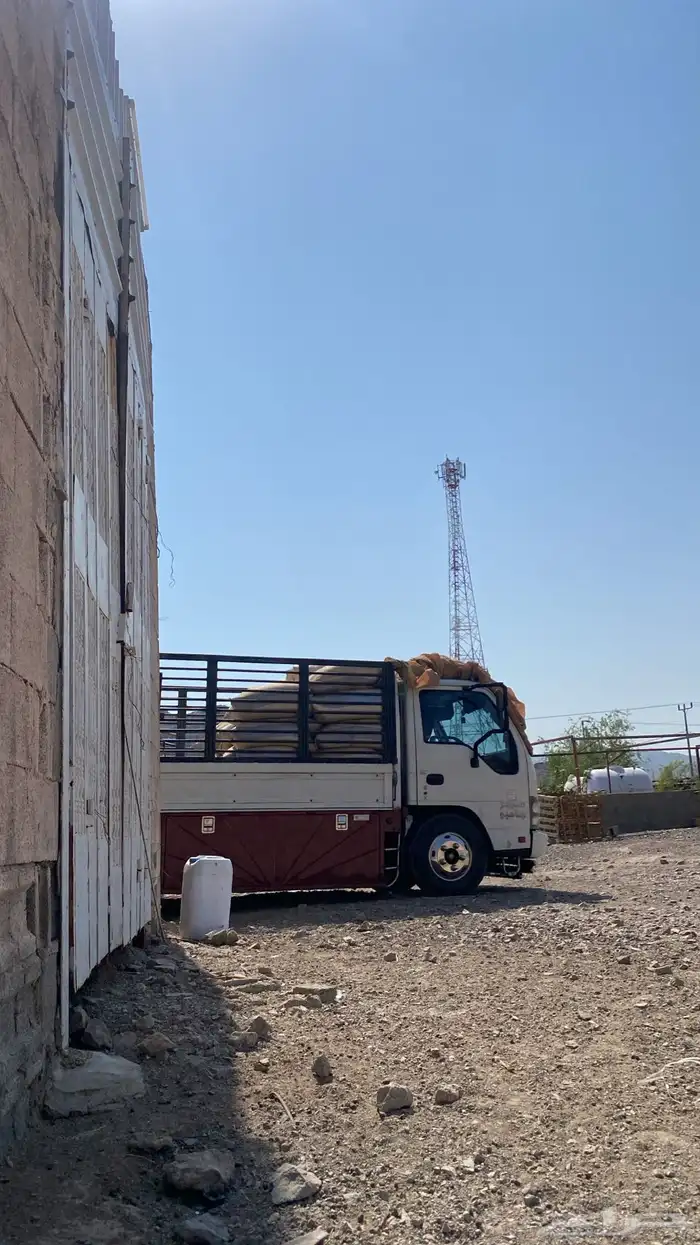 دينه ايجار داخل وخارج المدينه 2