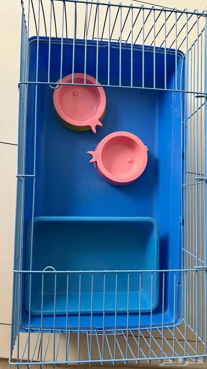 مستلزمات قطط 3