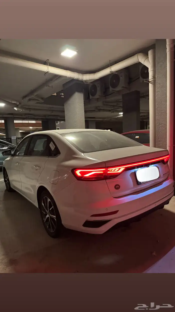 جلي ام جراند 2023 4