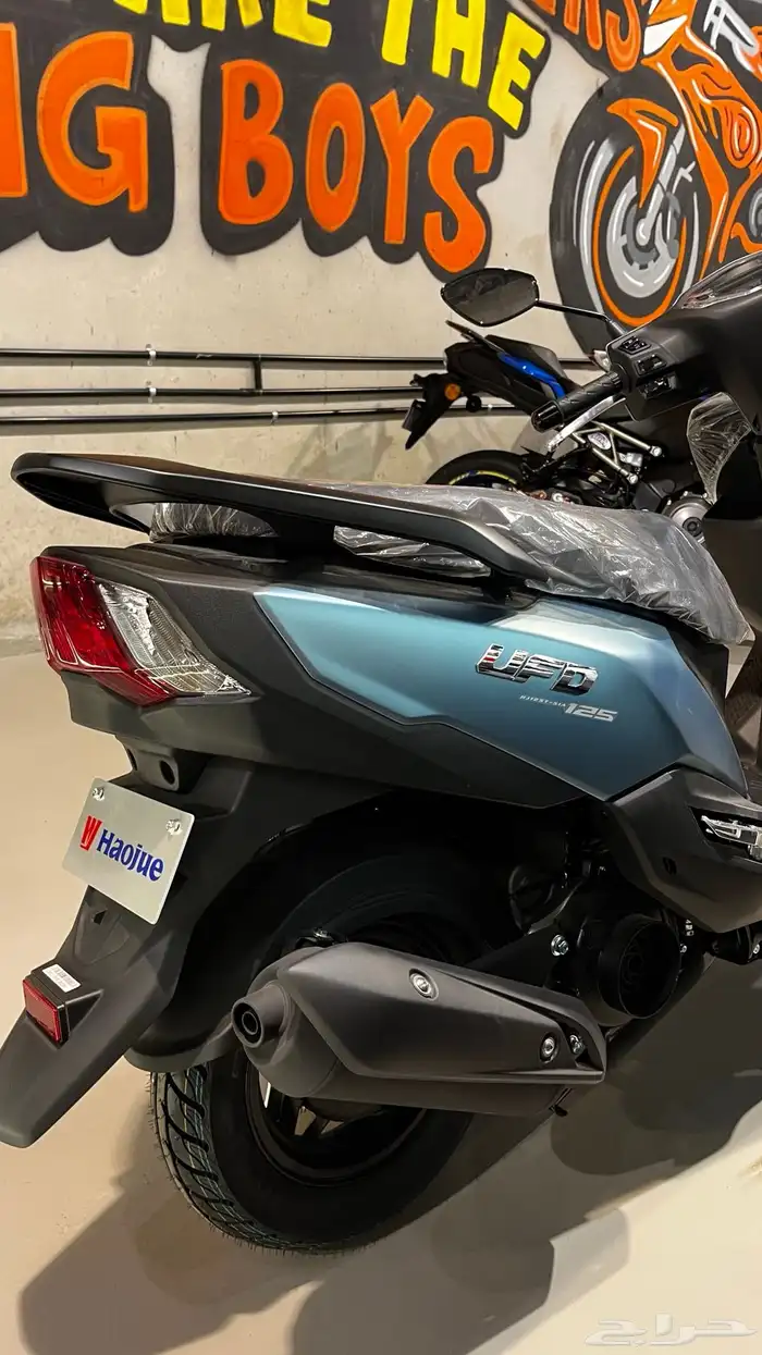 عجيب هاوجي 2025 للبيع 4