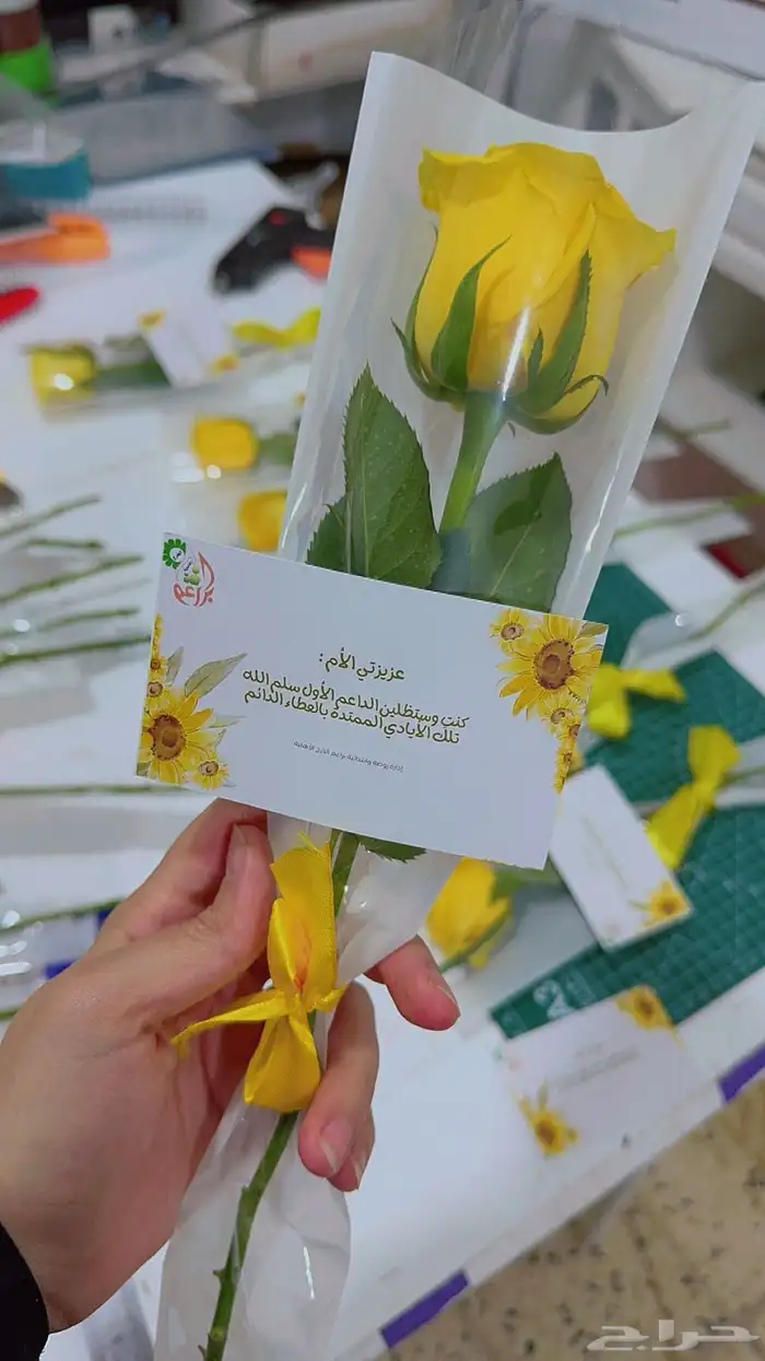 مجسمات أشكال هندسية 2