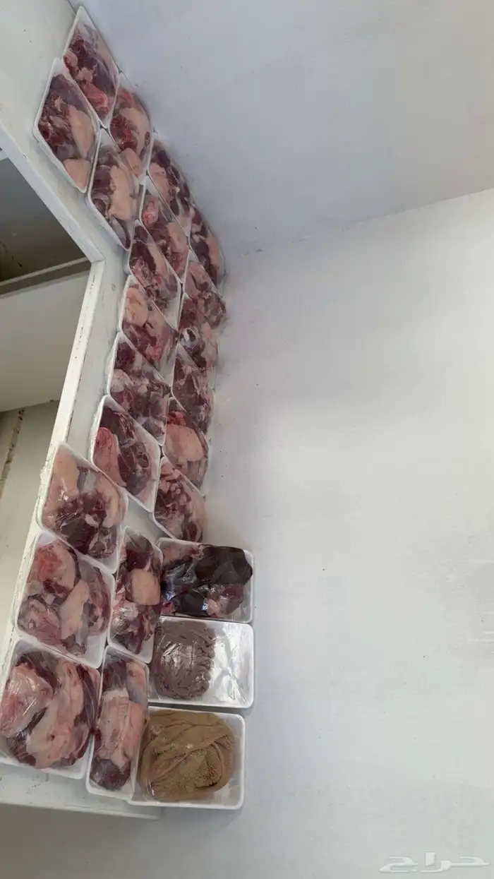 ذبايح الرس توصيل وصلخ 2