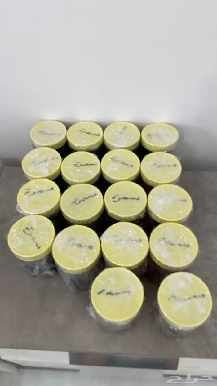 عسل سدر   سمرة طبيعي 100 0