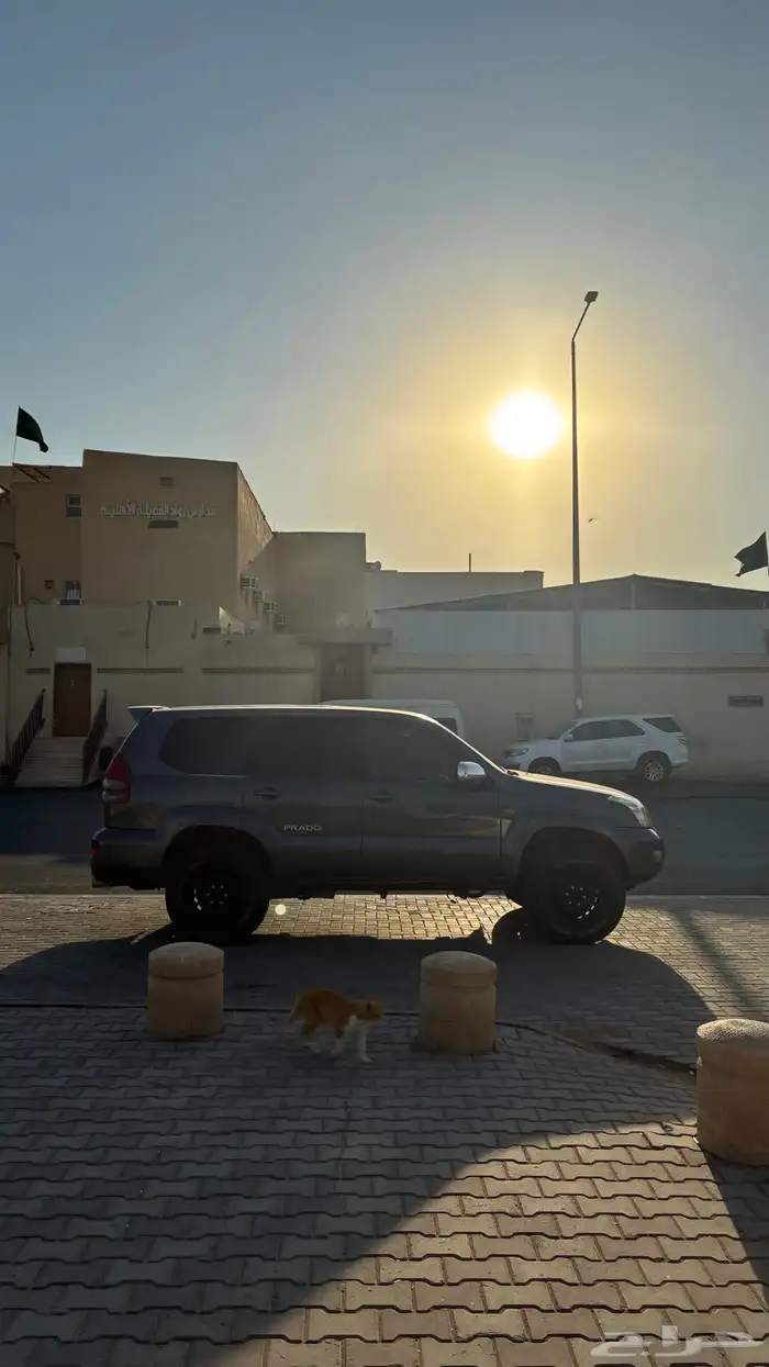 برادو 2006 سته سرندل 4