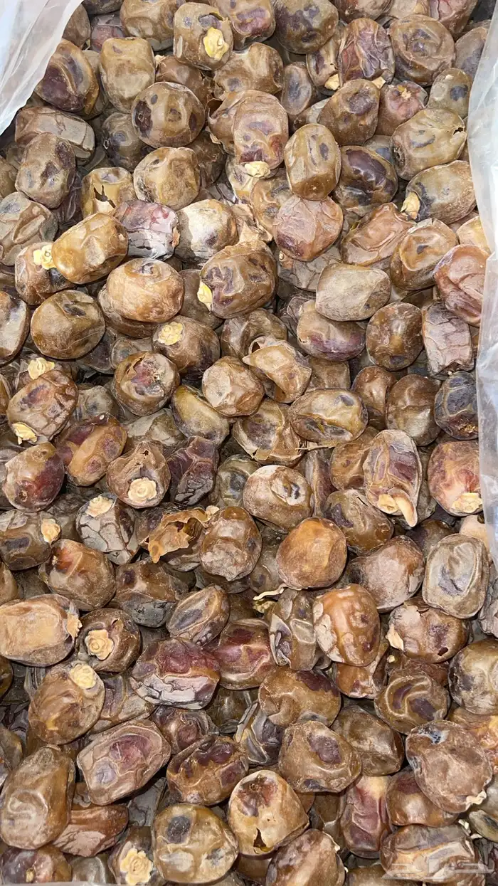 للبيع اعلاف تمور 3000 كيس 24