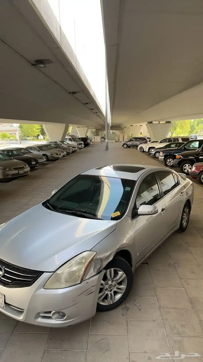 التيما فل الفل 2011 16