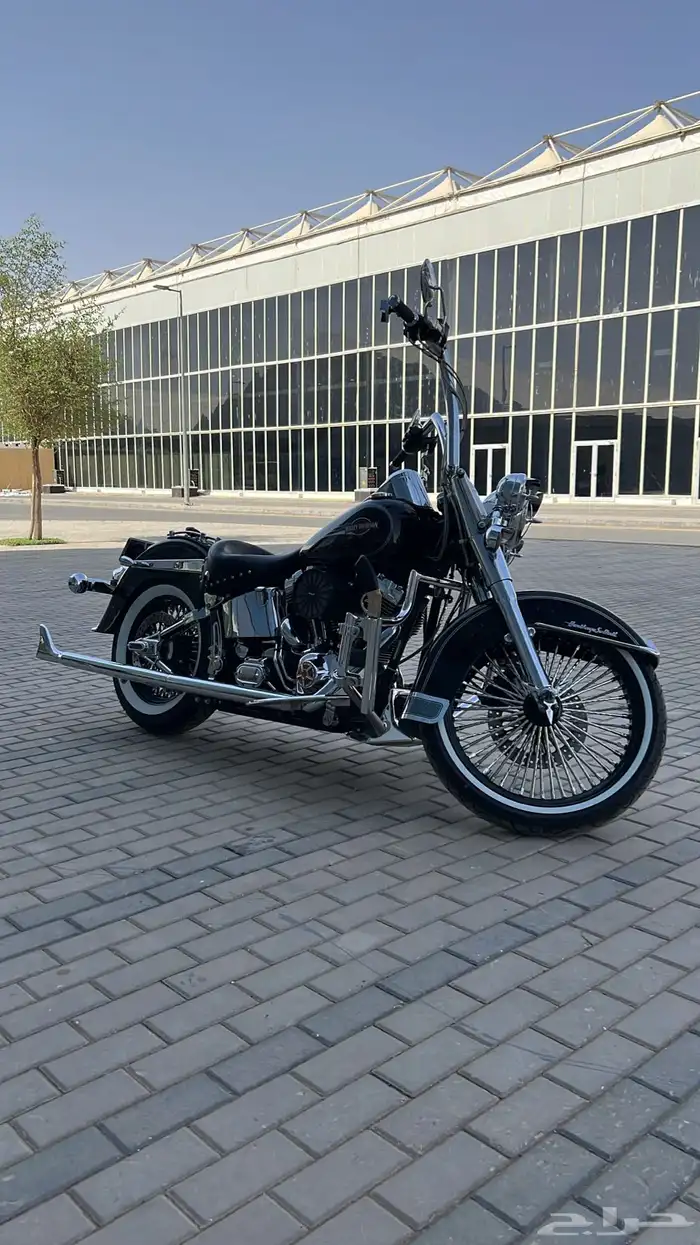 هارلي هيرتج 2006 0