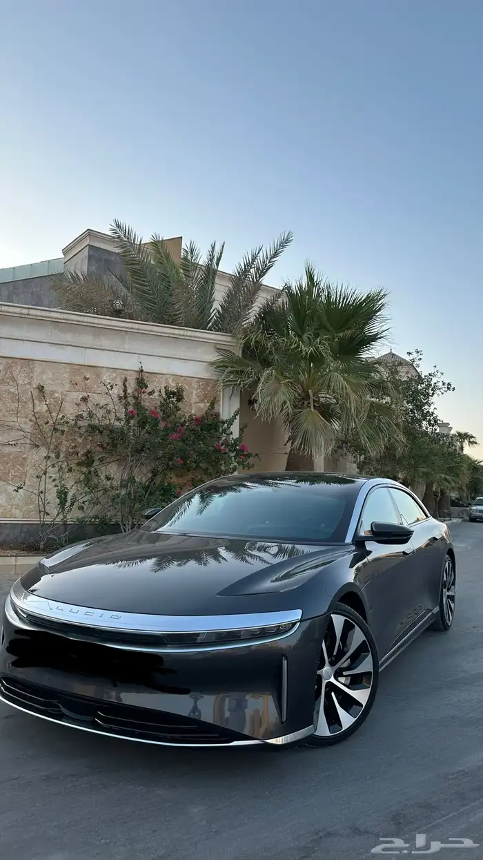 لوسيد تورنق مخزن 12