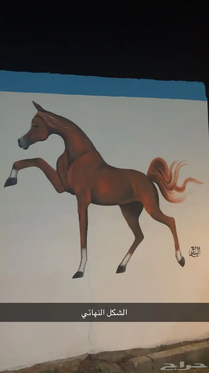 مربط نجد RQ ايواء تدريب عسف تشغيل تأجير 6