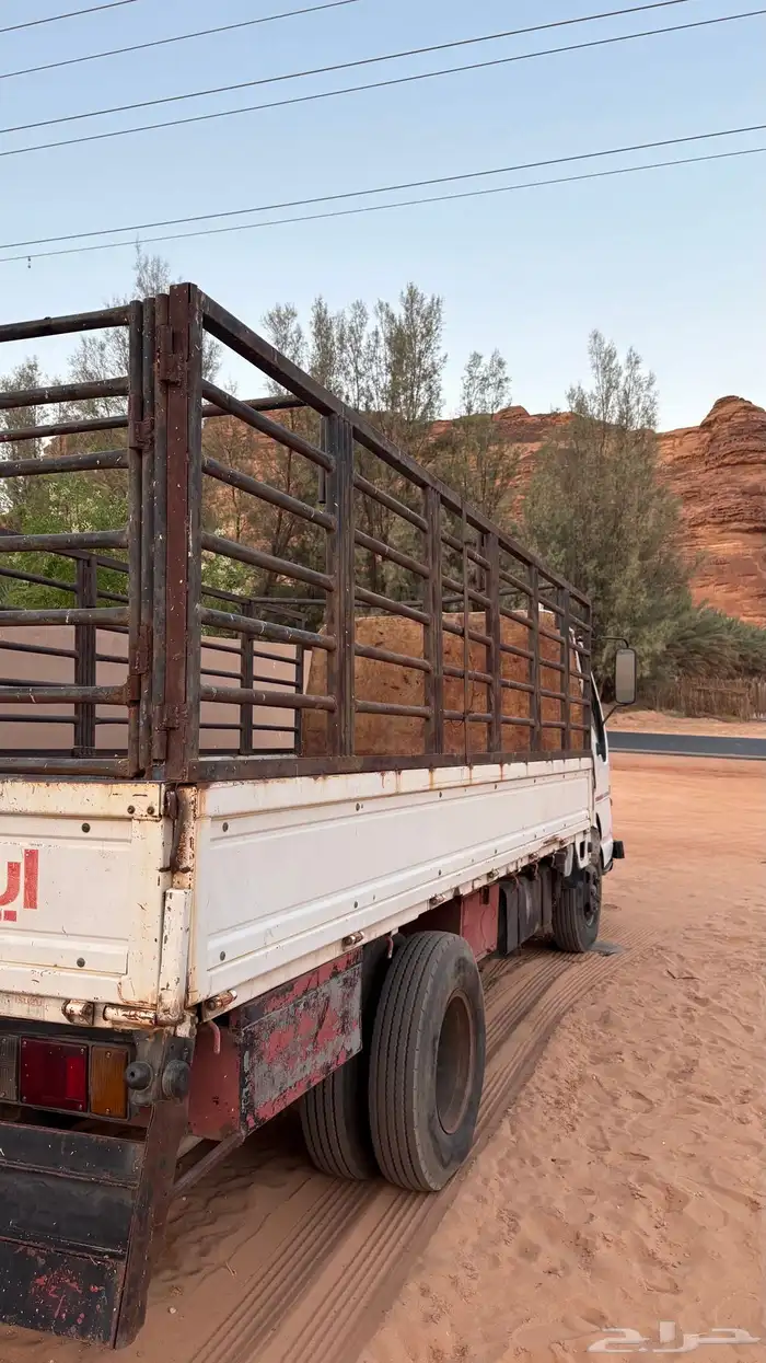 ديانه مديل 99 1