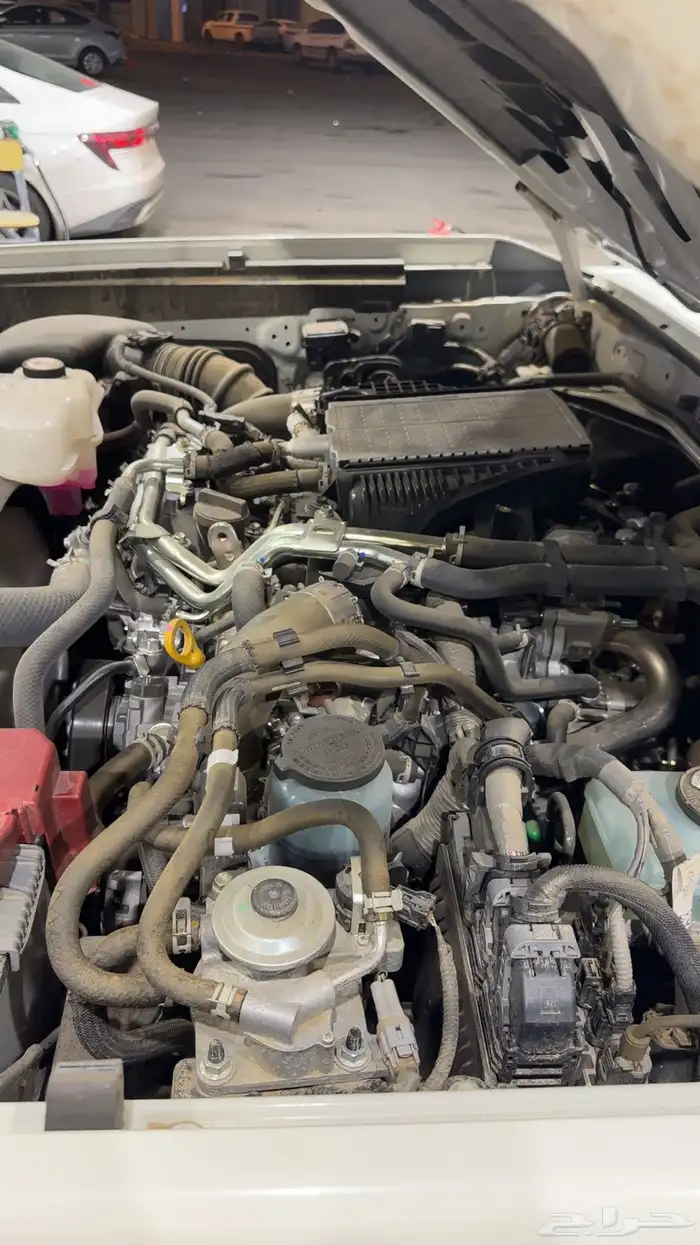 ربع ابيض 2024 دفلك وكالة للبيع 30