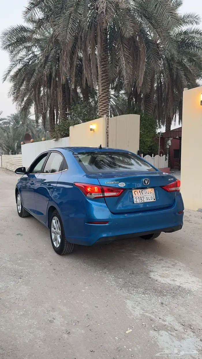 للبيع شانجان السفن 2020 3