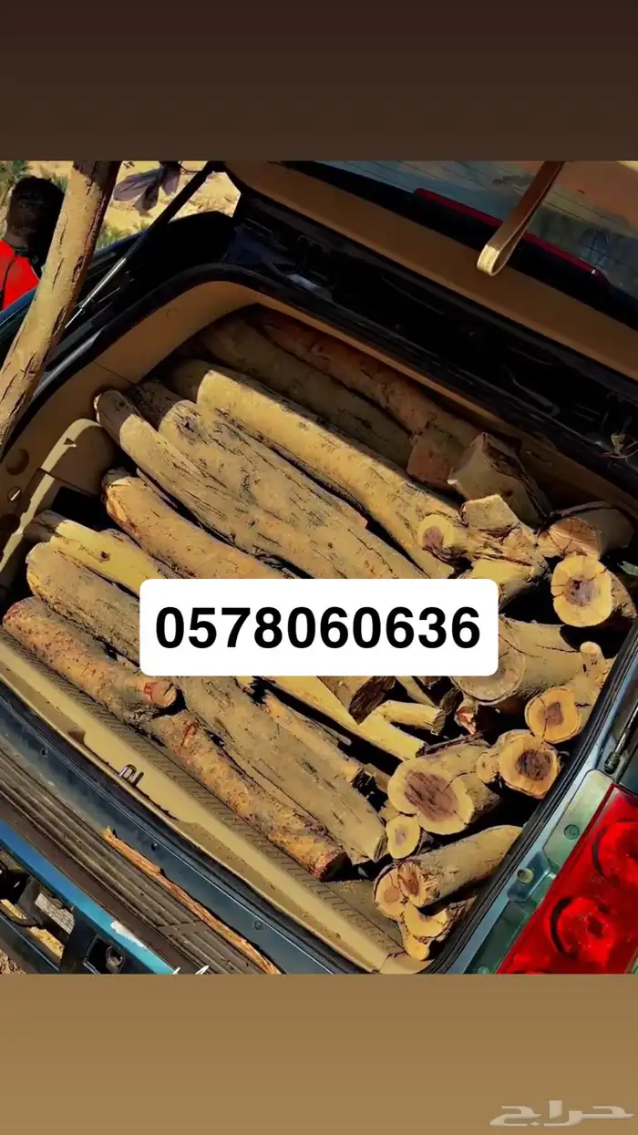 حطب مستورد 1