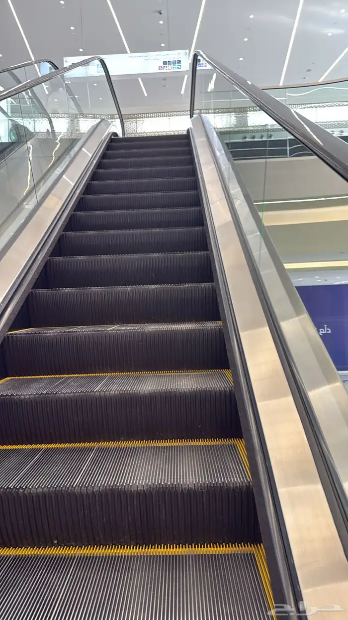 مطلوب شقة للإيجار الاندلس او الروضة عاجل 0