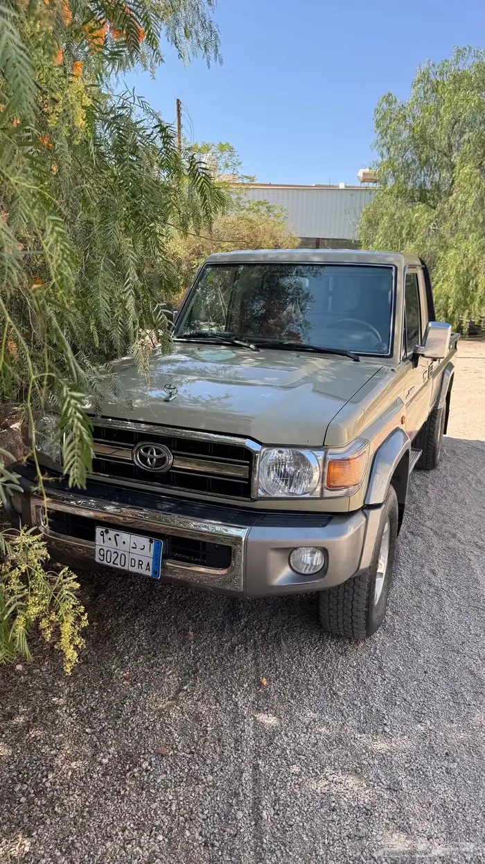 شاص 2009 سعودي 4