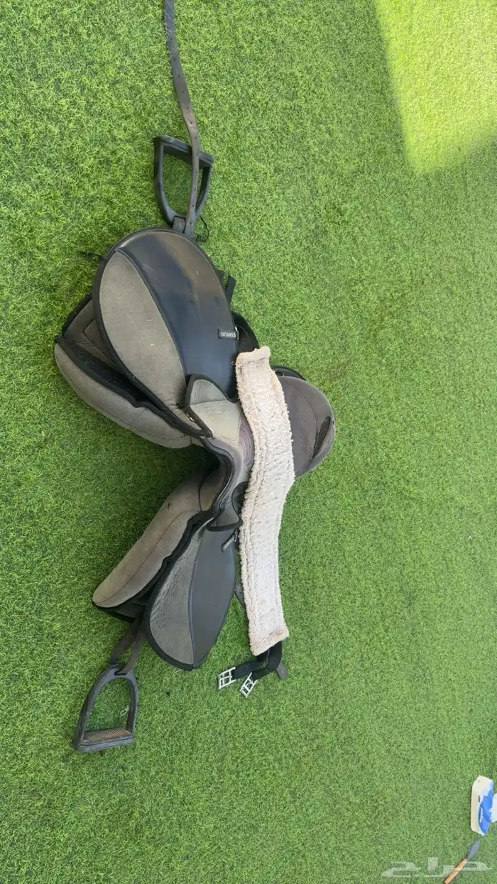 سرج ستيتوس مع لجام 0