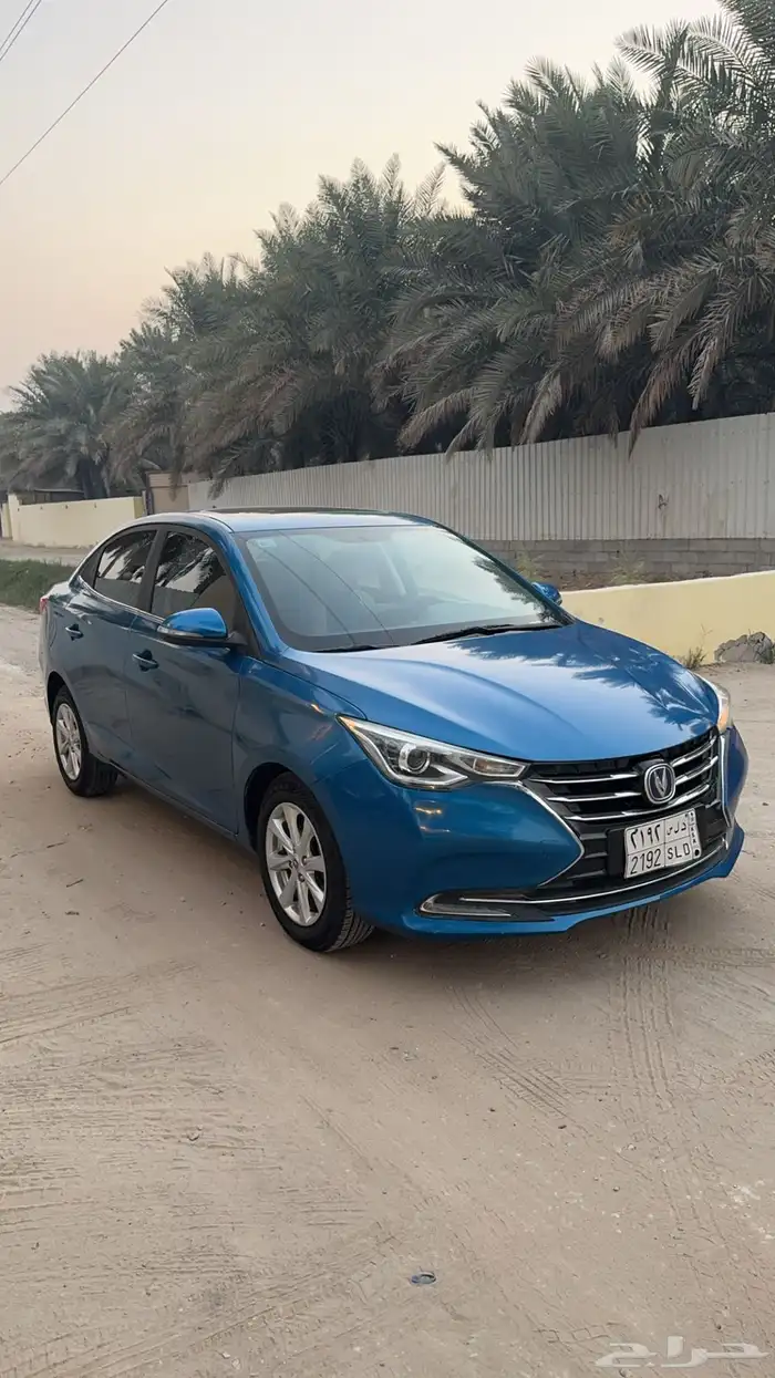 للبيع شانجان السفن 2020 1