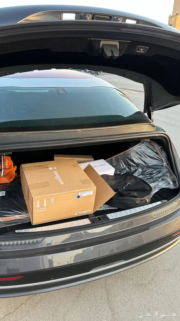 لوسيد تورنق مخزن 11