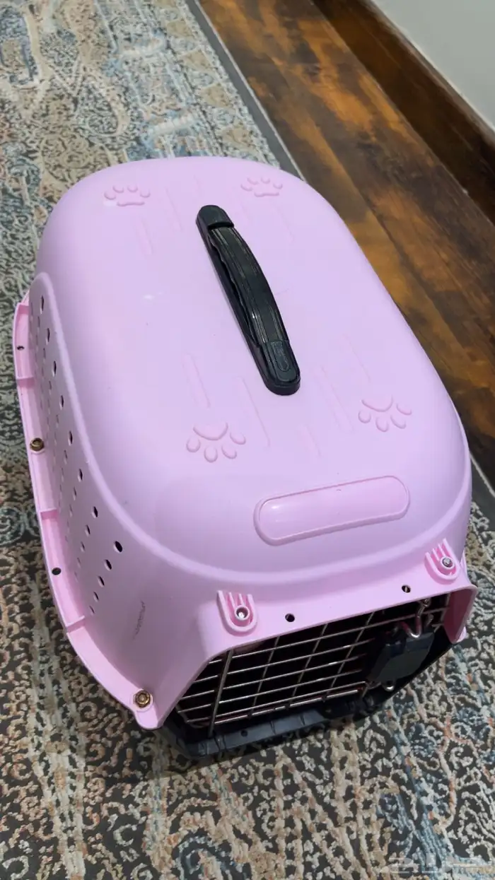 اغراض قطط ب50 ريال بس 1